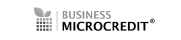 Business Microcredit